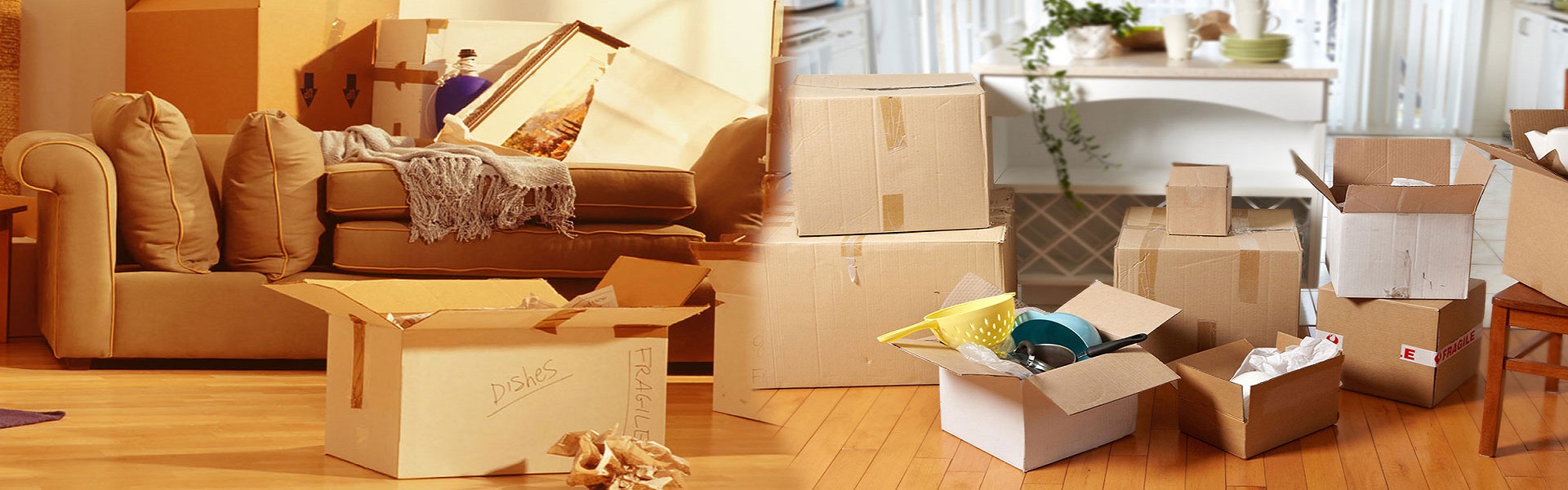 Packers and Movers in the Pune